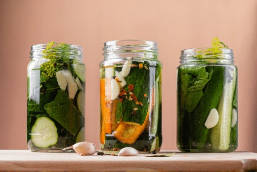 Leren Fermenteren review